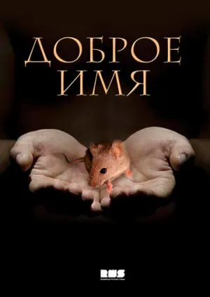 Доброе имя (сериал 2014)