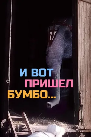 И вот пришел Бумбо… (1984)