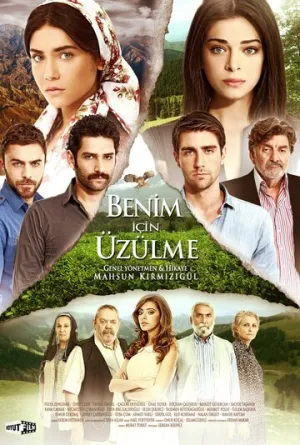 Не беспокойтесь за меня (сериал 2012)